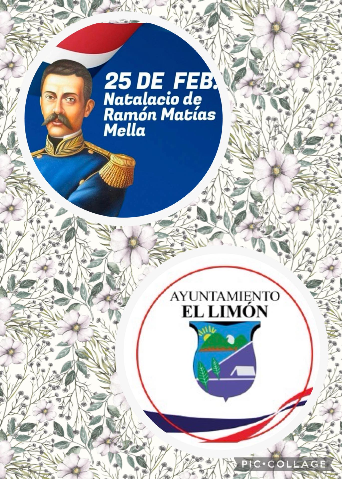 Hoy conmemoramos el natalicio de Matías Ramón Mella, uno de los Padres de la Patria de la República Dominicana.