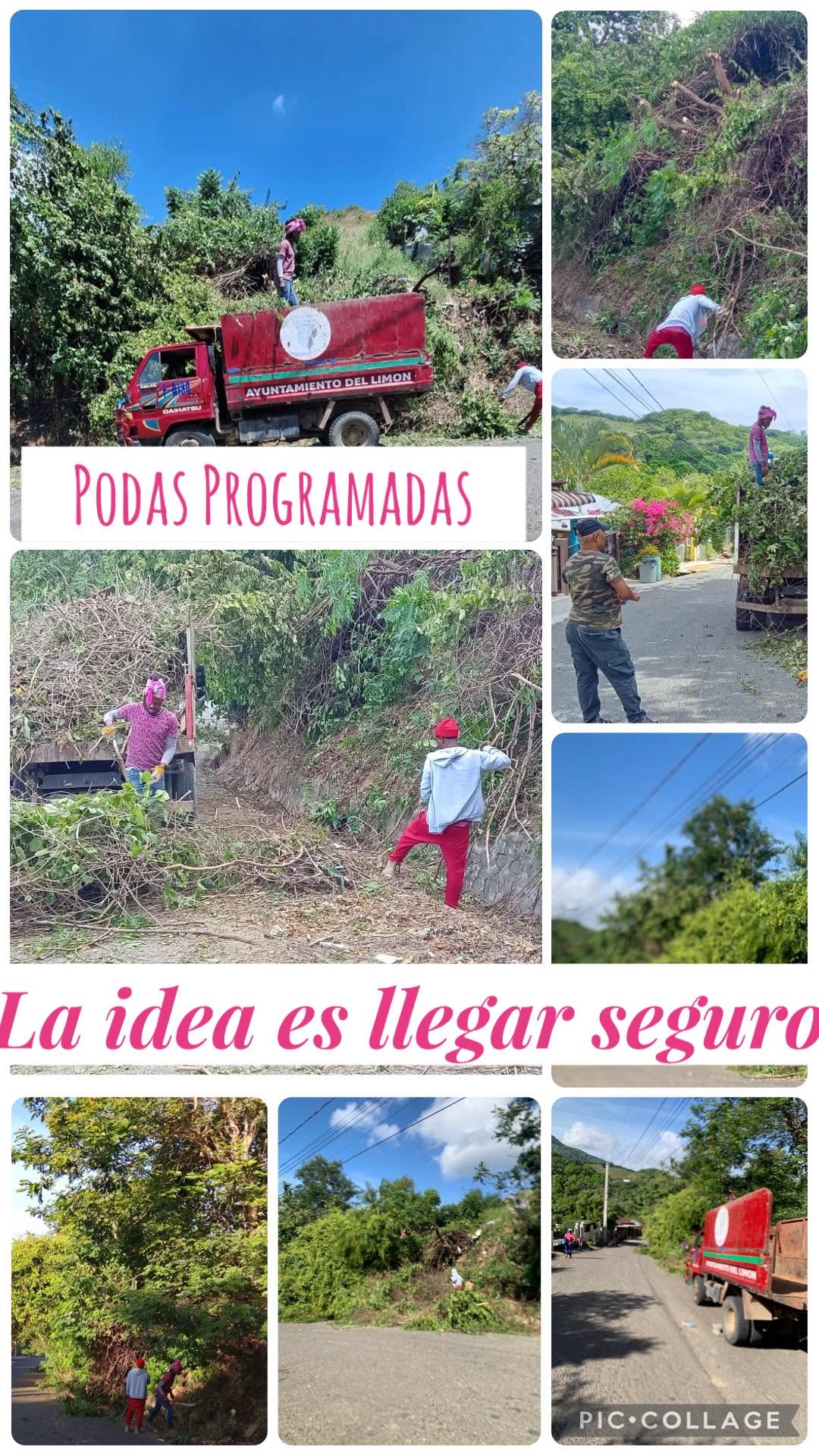 Ayuntamiento de El Limón continúa jornada de poda preventiva para reforzar la seguridad via